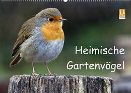 Kalender Heimische Gartenvögel (Wandkalender 2023 DIN A2 quer) von Dieter Wilczek