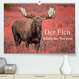 Kalender Der Elch - König des Nordens (Premium, hochwertiger DIN A2 Wandkalender 2023, Kunstdruck in Hochglanz) von Claudia Pelzer, Inken Paletta