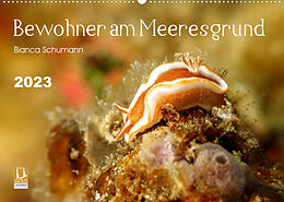 Kalender Bewohner am Meeresgrund (Wandkalender 2023 DIN A2 quer) von Bianca Schumann