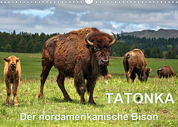 Kalender TATONKA Der nordamerikanische Bison (Wandkalender 2023 DIN A3 quer) von Dieter Wilczek