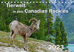 Kalender Tierwelt in den Canadian Rockies (Tischkalender 2023 DIN A5 quer) von Dieter-M. Wilczek