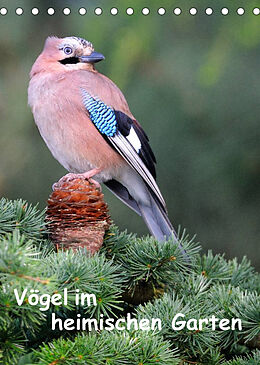 Kalender Vögel im heimischen Garten (Tischkalender 2023 DIN A5 hoch) von Dieter Wilczek