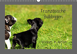 Kalender Französische Bulldoggen (Wandkalender 2023 DIN A3 quer) von Heike Hultsch