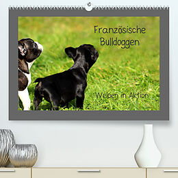 Kalender Französische Bulldoggen (Premium, hochwertiger DIN A2 Wandkalender 2023, Kunstdruck in Hochglanz) von Heike Hultsch