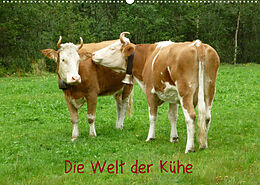 Kalender Die Welt der Kühe (Wandkalender 2023 DIN A2 quer) von Kattobello