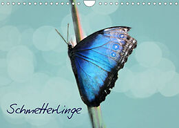Kalender Schmetterlinge (Wandkalender 2023 DIN A4 quer) von Heike Hultsch