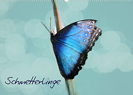 Kalender Schmetterlinge (Wandkalender 2023 DIN A2 quer) von Heike Hultsch