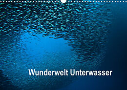 Kalender Wunderwelt Unterwasser (Wandkalender 2023 DIN A3 quer) von Dieter Gödecke