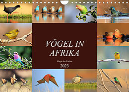Kalender Vögel in Afrika - Magie der Farben (Wandkalender 2023 DIN A4 quer) von Michael Herzog