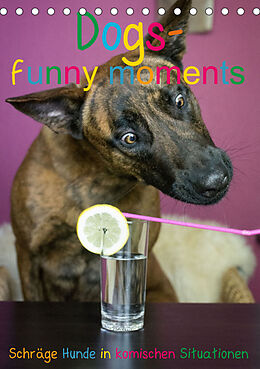 Kalender Dogs - funny moments Schräge Hunde in komischen Situationen (Tischkalender 2023 DIN A5 hoch) von Inuk- dutch shepherd dog