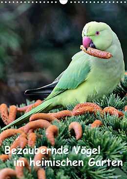 Kalender Bezaubernde Vögel im heimischen Garten (Wandkalender 2023 DIN A3 hoch) von Dieter Wilczek