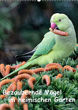 Kalender Bezaubernde Vögel im heimischen Garten (Wandkalender 2023 DIN A2 hoch) von Dieter Wilczek