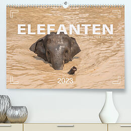 Kalender ELEFANTEN Jumbos der Herzen (Premium, hochwertiger DIN A2 Wandkalender 2023, Kunstdruck in Hochglanz) von Mario Weigt