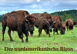 Kalender Der nordamerikanische Bison (Wandkalender 2023 DIN A3 quer) von Dieter Wilczek