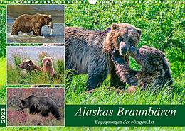 Kalender Alaskas Braunbären - Begegnungen der bärigen Art (Wandkalender 2023 DIN A3 quer) von Dieter Wilczek