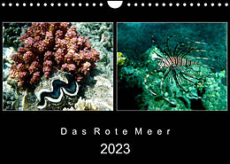 Kalender Das Rote Meer  2023 (Wandkalender 2023 DIN A4 quer) von © Mirko Weigt, Hamburg