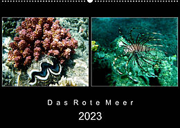 Kalender Das Rote Meer  2023 (Wandkalender 2023 DIN A2 quer) von © Mirko Weigt, Hamburg