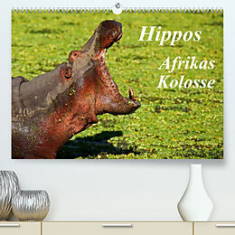 Kalender Hippos - Afrikas Kolosse (Premium, hochwertiger DIN A2 Wandkalender 2023, Kunstdruck in Hochglanz) von Wibke Woyke