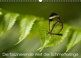 Kalender Die faszinierende Welt der Schmetterlinge (Wandkalender 2023 DIN A3 quer) von Benjamin Nocke