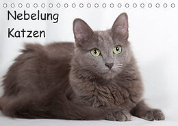 Kalender Nebelung Katzen (Tischkalender 2023 DIN A5 quer) von Fotodesign Verena Scholze