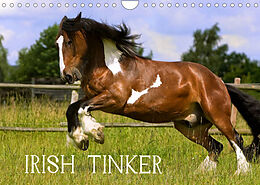 Kalender Irish Tinker (Wandkalender 2023 DIN A4 quer) von Gabriela Wejat-Zaretzke