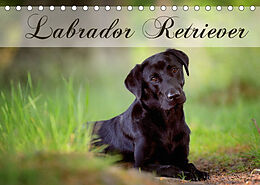 Kalender Labrador Retriever (Tischkalender 2023 DIN A5 quer) von Nicole Noack