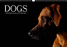 Kalender Dogs (Wandkalender 2023 DIN A3 quer) von Nicole Noack