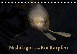 Kalender Nishikigoi oder Koi Karpfen (Tischkalender 2023 DIN A5 quer) von Erwin Renken