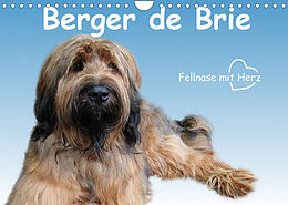 Kalender Berger de Brie - Fellnase mit Herz (Wandkalender 2023 DIN A4 quer) von Sonja Teßen