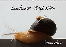 Kalender Lautlose Begleiter - Schnecken (Wandkalender 2023 DIN A3 quer) von Wibke Geiling