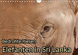 Kalender Bedrohte Riesen - Elefanten in Sri Lanka (Wandkalender 2023 DIN A4 quer) von Jörg Sobottka