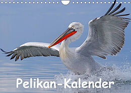 Kalender Pelikan-Kalender (Wandkalender 2023 DIN A4 quer) von Gerald Wolf