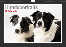 Kalender Hundeportraits - Hütehunde (Wandkalender 2023 DIN A4 quer) von Jasmin Hahn