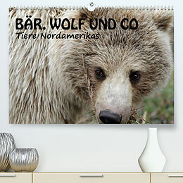 Kalender Bär, Wolf und Co - Tiere Nordamerikas (Premium, hochwertiger DIN A2 Wandkalender 2023, Kunstdruck in Hochglanz) von Ursula Salzmann