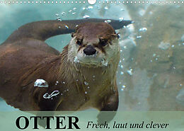 Kalender Otter. Frech, laut und clever (Wandkalender 2023 DIN A3 quer) von Elisabeth Stanzer