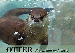 Kalender Otter. Frech, laut und clever (Wandkalender 2023 DIN A2 quer) von Elisabeth Stanzer