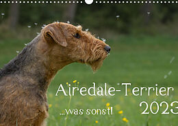 Kalender Airedale-Terrier, was sonst! (Wandkalender 2023 DIN A3 quer) von Michael Janz