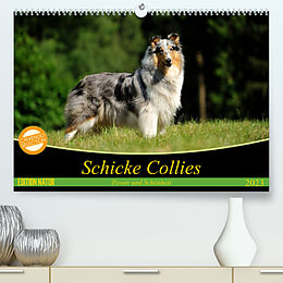 Kalender Schicke Collies (Premium, hochwertiger DIN A2 Wandkalender 2023, Kunstdruck in Hochglanz) von Yvonne Janetzek