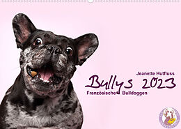 Kalender Bullys - Französische Bulldoggen 2023 (Wandkalender 2023 DIN A2 quer) von Jeanette Hutfluss
