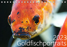 Kalender Goldfischportraits (Tischkalender 2023 DIN A5 quer) von Hanne Wirtz