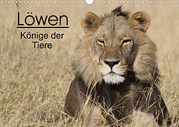 Kalender Löwen - Könige der Tiere (Wandkalender 2023 DIN A3 quer) von Stefan Sander