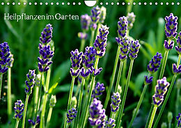 Kalender Heilpflanzen im Garten (Wandkalender 2023 DIN A4 quer) von Andrea Fettweis