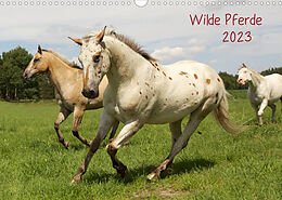 Kalender Wilde Pferde (Wandkalender 2023 DIN A3 quer) von Jens Kalanke
