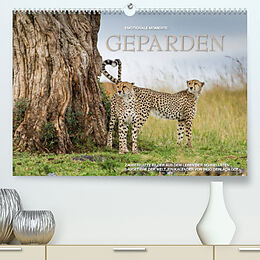Kalender Emotionale Momente: Geparden (Premium, hochwertiger DIN A2 Wandkalender 2023, Kunstdruck in Hochglanz) von Ingo Gerlach GDT