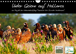 Kalender Unter Geiern auf Mallorca: Ein Projekt der Naturschutzstiftung Vida Silvestre Mediterránea (Wandkalender 2023 DIN A4 quer) von FVSM