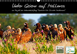 Kalender Unter Geiern auf Mallorca: Ein Projekt der Naturschutzstiftung Vida Silvestre Mediterránea (Wandkalender 2023 DIN A3 quer) von FVSM