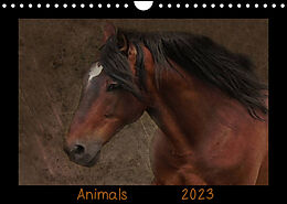 Kalender Animals (Wandkalender 2023 DIN A4 quer) von Claudia Möckel / Lucy L!u