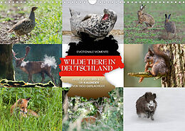 Kalender Emotionale Momente: Wilde Tiere in Deutschland (Wandkalender 2023 DIN A3 quer) von Ingo Gerlach GDT