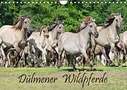 Kalender Dülmener Wildpferde (Wandkalender 2023 DIN A4 quer) von Katho Menden
