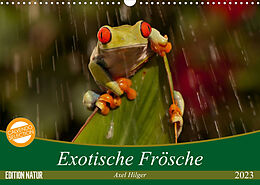 Kalender Exotische Frösche (Wandkalender 2023 DIN A3 quer) von Axel Hilger